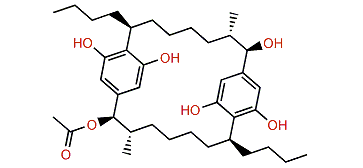 Cylindrocyclophane B